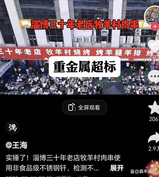 打假专家王海揭露淄博牧羊村烧烤的钎子有问题，为何遭网友嘲笑？